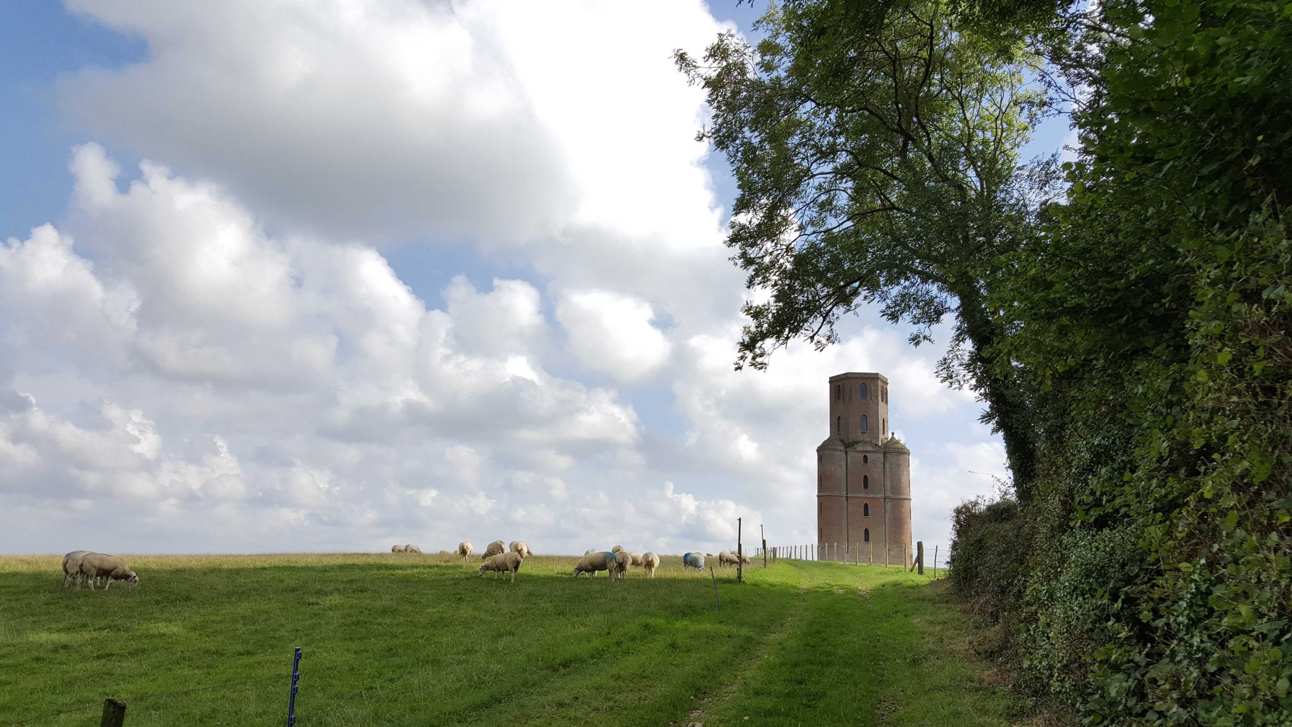 Horton Tower