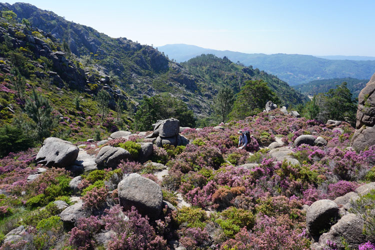 Walking in Portugal: GR50 from Xertelo to Gerês